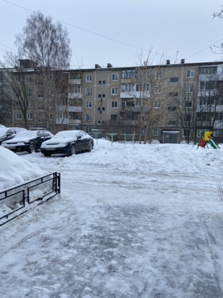 Пенсионеры в Челябинске скинулись на лопаты для уборки снега, которые подарили главе района.